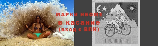 хмурый Арсеньев