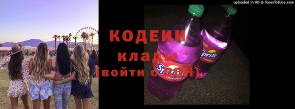 хмурый Арсеньев