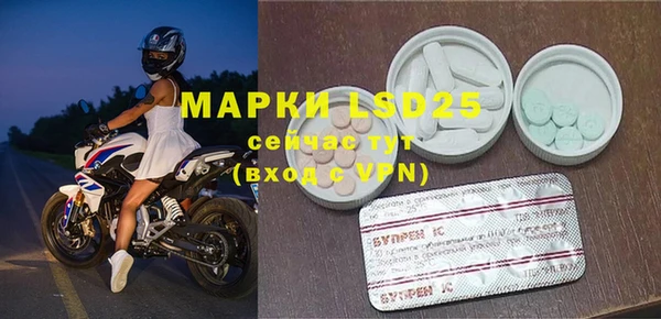 хмурый Арсеньев
