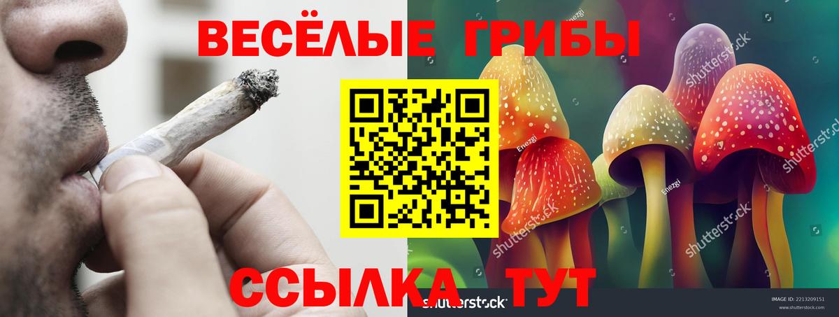 Галлюциногенные грибы мухоморы Ленинск-Кузнецкий