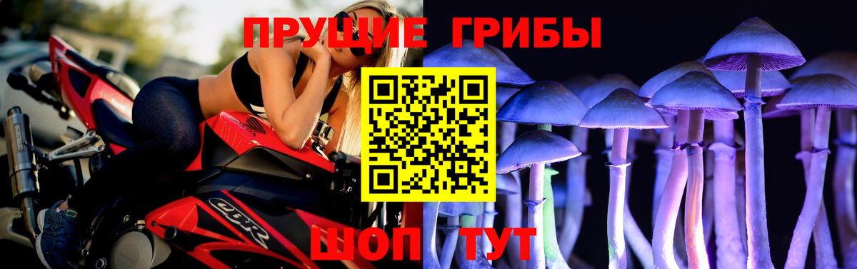 где найти   Вход с VPN  Ленинск-Кузнецкий  Псилоцибиновые грибы Cubensis 